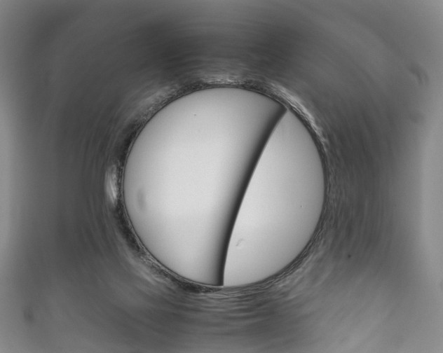 X0000111920069200907271018