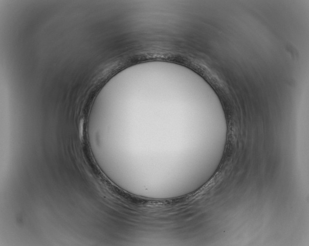 X0000111920070200907271018