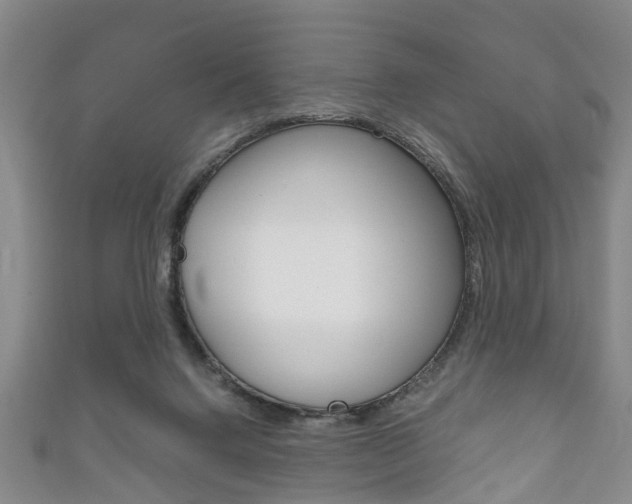X0000111920072200907271018