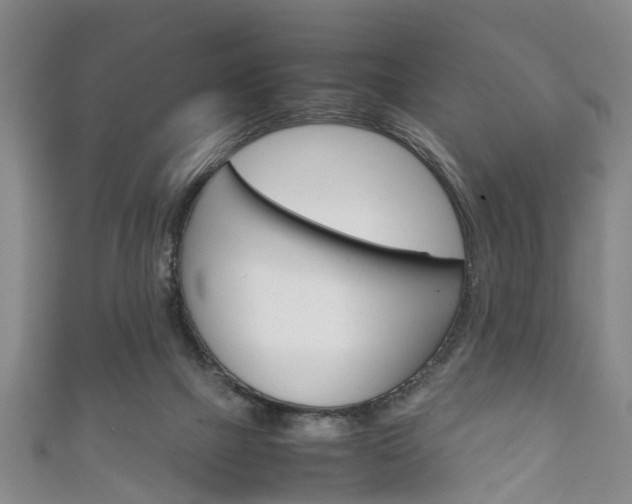 X0000111920073200907271018