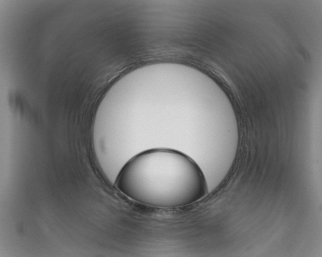 X0000111920076200907271018