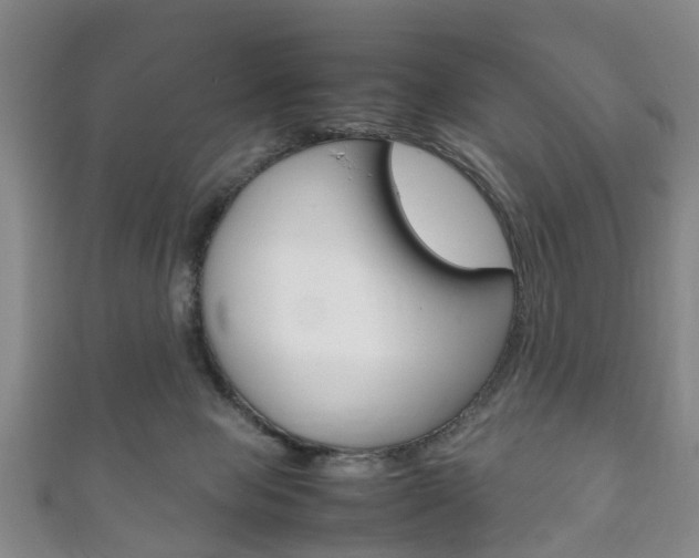 X0000111920077200907271018
