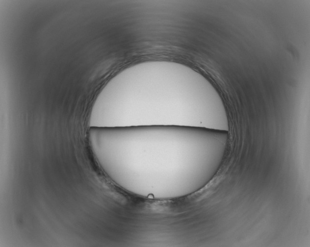 X0000111920078200907271018