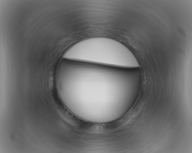 X0000111920080200907271018