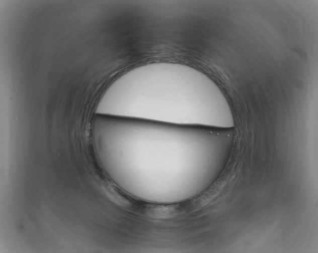 X0000111920081200907271018