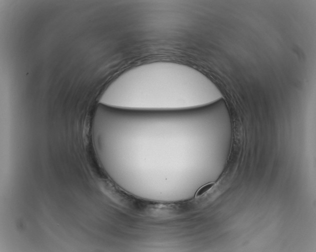 X0000111920082200907271018