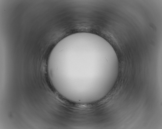 X0000111920083200907271018