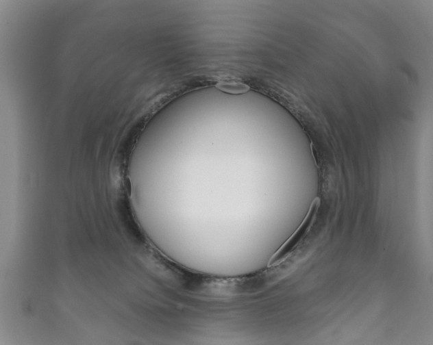 X0000111920084200907271018