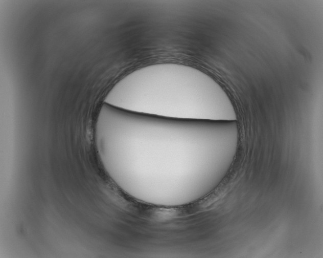 X0000111920085200907271018