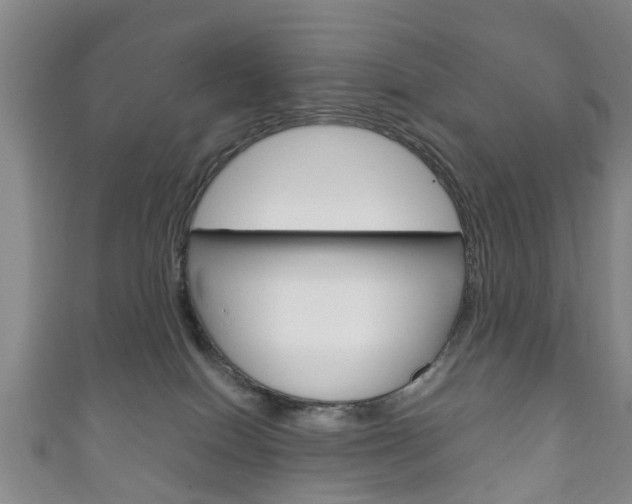 X0000111920086200907271018