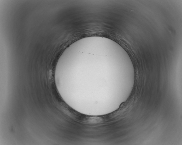 X0000111920087200907271018