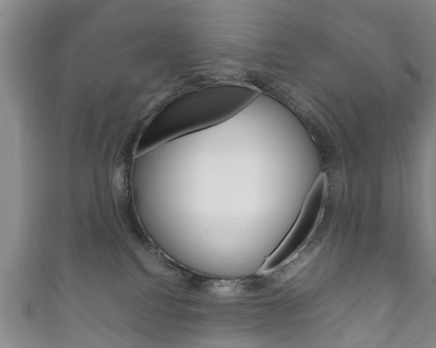 X0000111920088200907271018