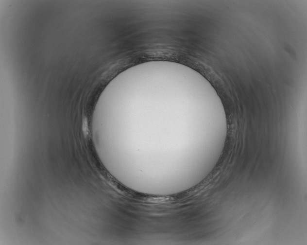 X0000111920089200907271018