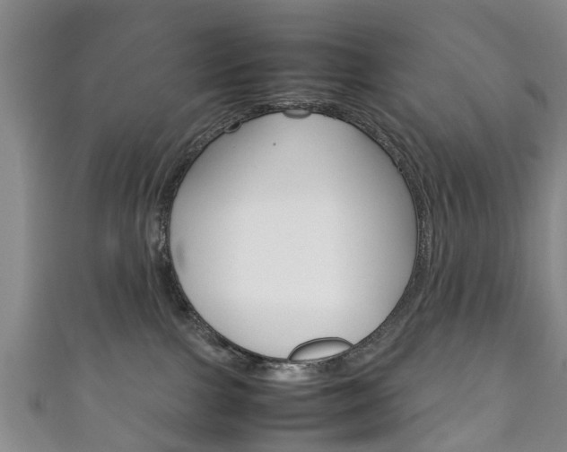 X0000111920091200907271018