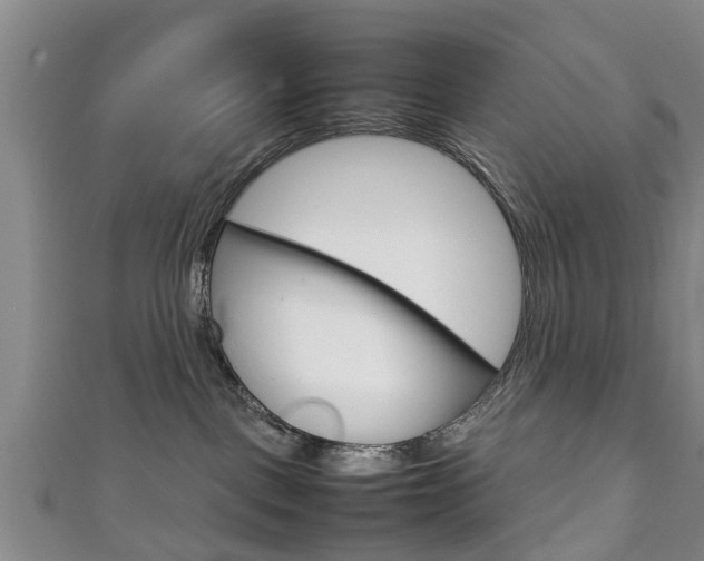 X0000111920093200907271018