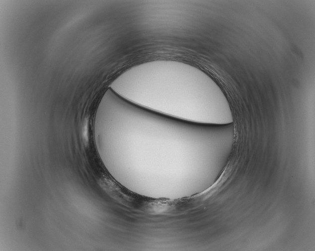 X0000111920094200907271018