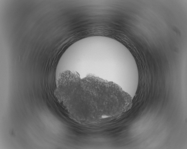 X0000111920095200907271018