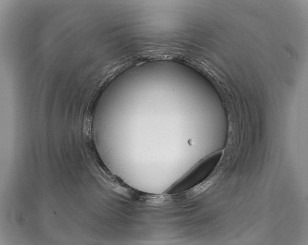 X0000111920096200907271018