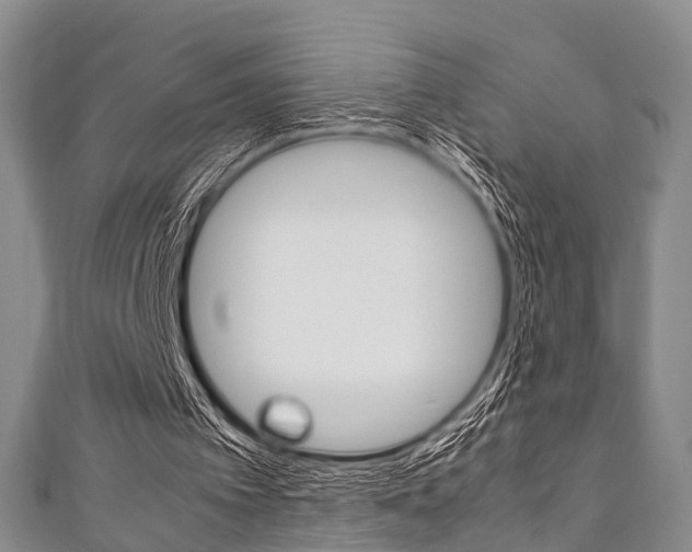 X0000111920097200907271017