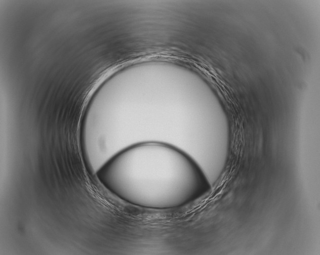 X0000111920100200907271017