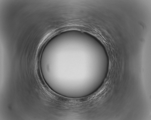 X0000111920101200907271017