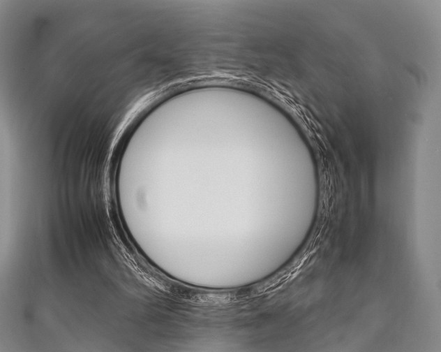 X0000111920102200907271017
