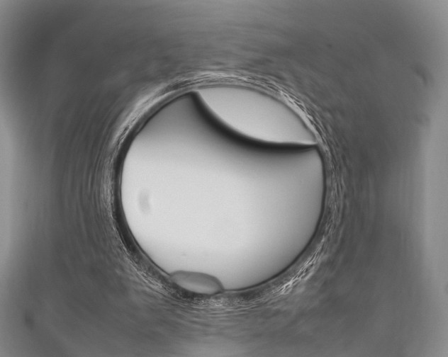 X0000111920103200907271017
