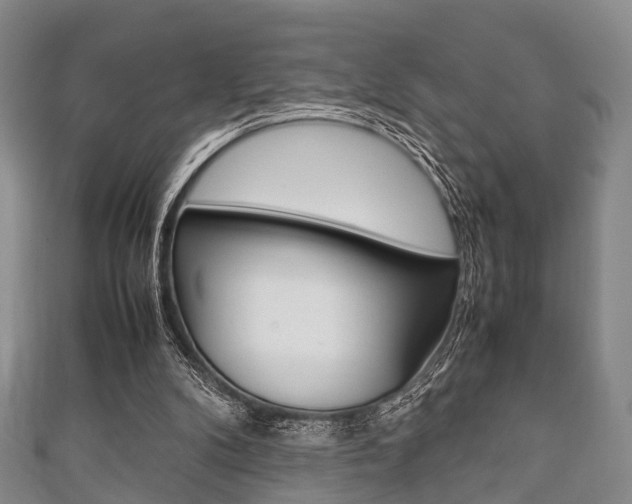 X0000111920104200907271017