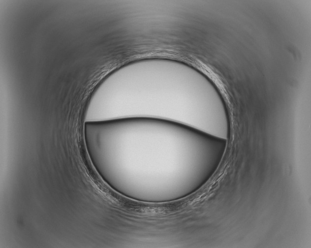 X0000111920105200907271017