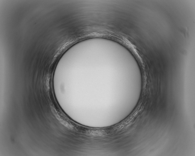 X0000111920106200907271017