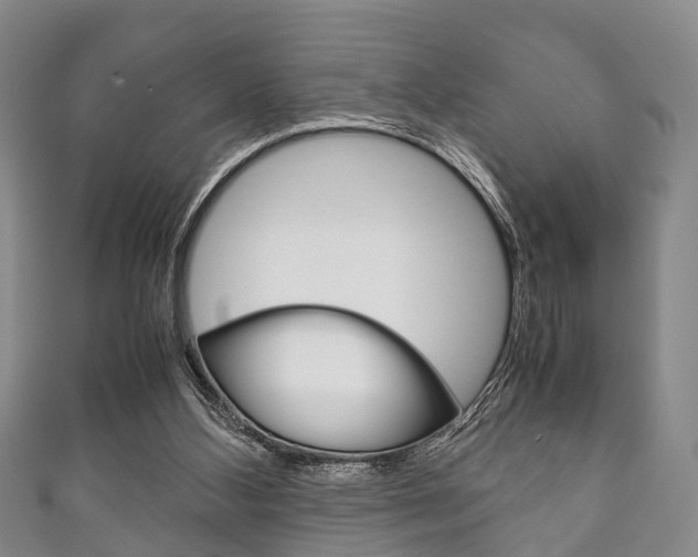 X0000111920108200907271017