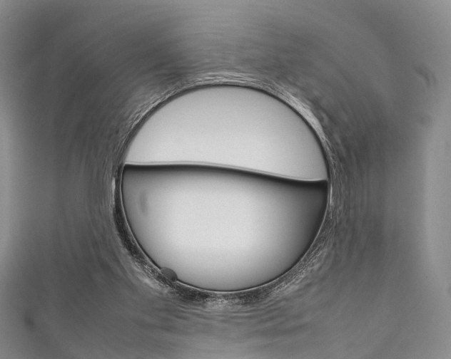 X0000111920109200907271017