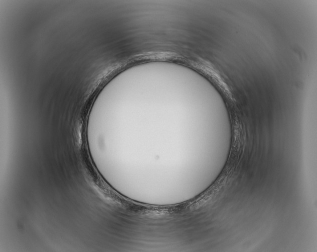 X0000111920110200907271017