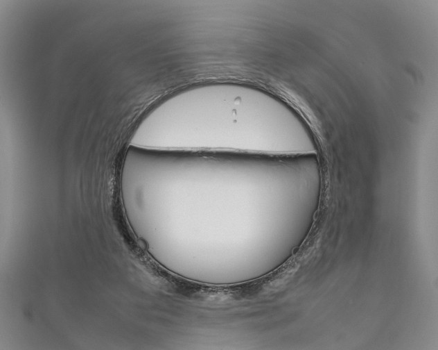 X0000111920113200907271017