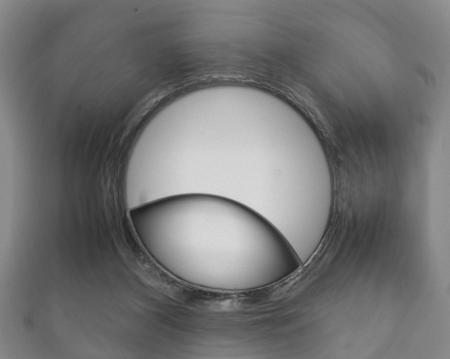 X0000111920116200907271017