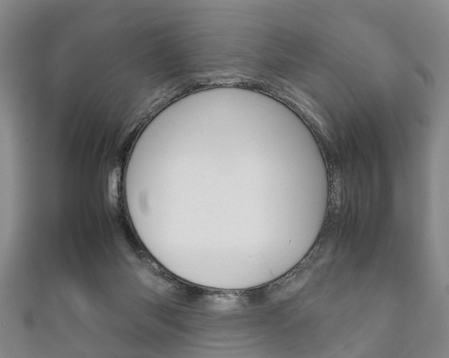 X0000111920118200907271017