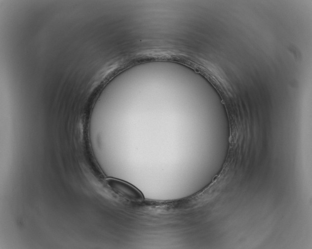X0000111920120200907271017