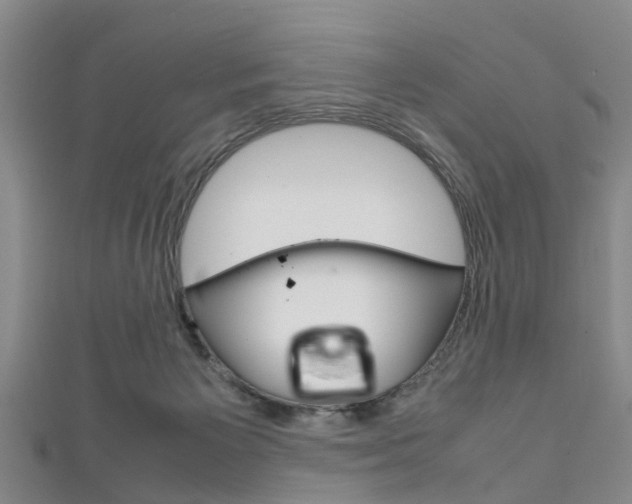 X0000111920125200907271017