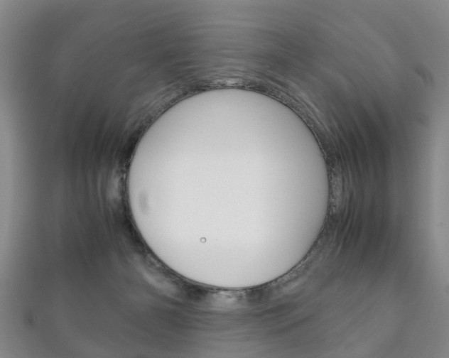 X0000111920126200907271017