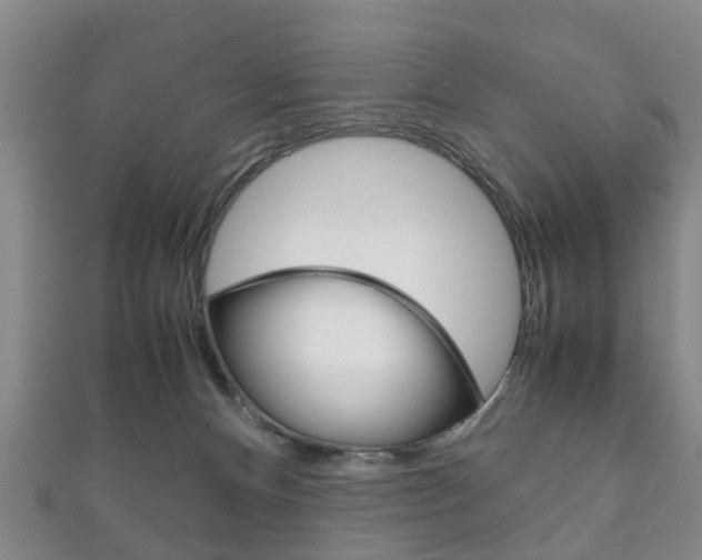 X0000111920128200907271017