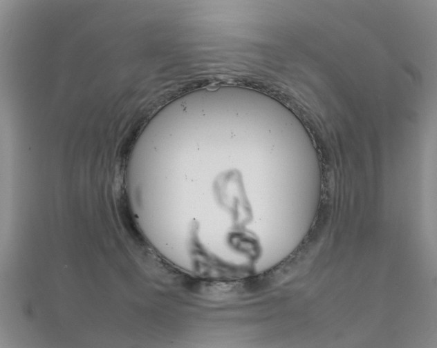 X0000111920129200907271017