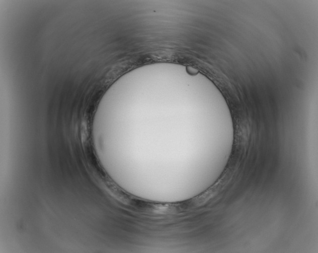X0000111920130200907271017