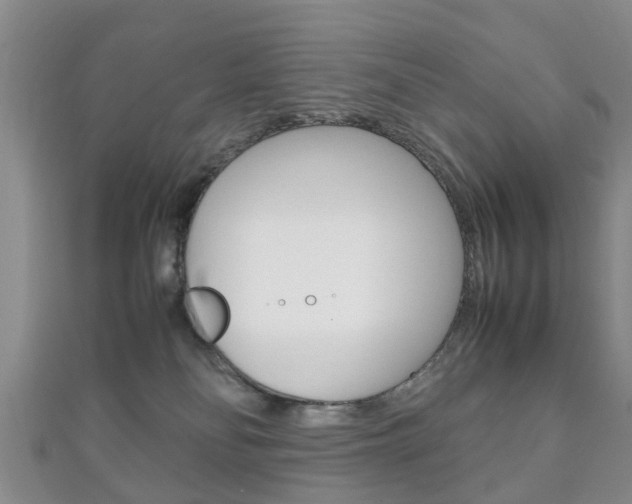 X0000111920134200907271017