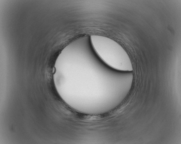 X0000111920135200907271017