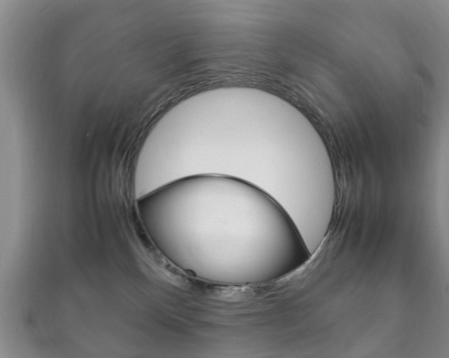 X0000111920136200907271017