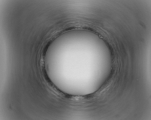 X0000111920137200907271017