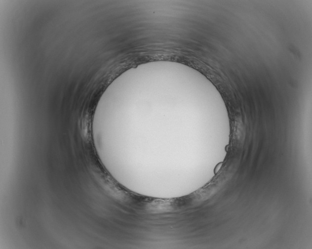 X0000111920138200907271017