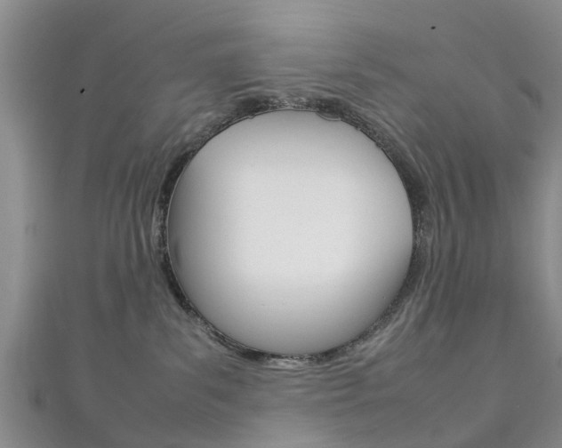 X0000111920139200907271017