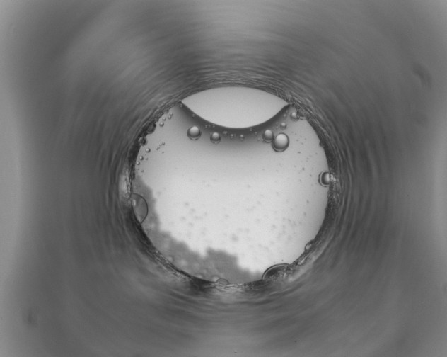 X0000111920143200907271017