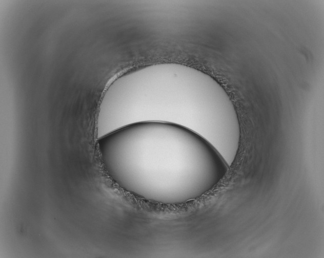 X0000111920144200907271017